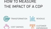 고객 데이터 플랫폼(CDP)의 영향력 측정 방법