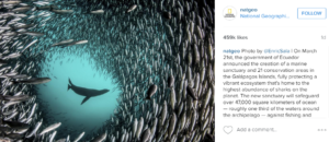 내셔널 지오그래픽 인스타그램