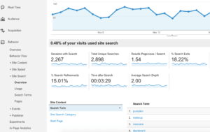 사이트 검색 개요